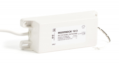 mollusk-123
