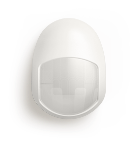 sn_ik_01-1
